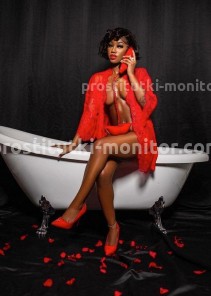 Фото проститутки Anita №4